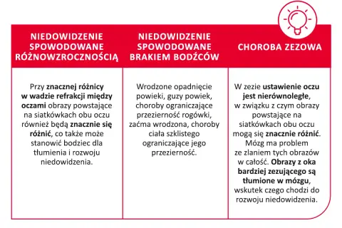 Obraz wyjaśnia przyczyny niedowidzenia: różnice w wadzie refrakcji, brak bodźców wzrokowych i zez. Brak widzenia stereoskopowego może prowadzić do rozwoju niedowidzenia.