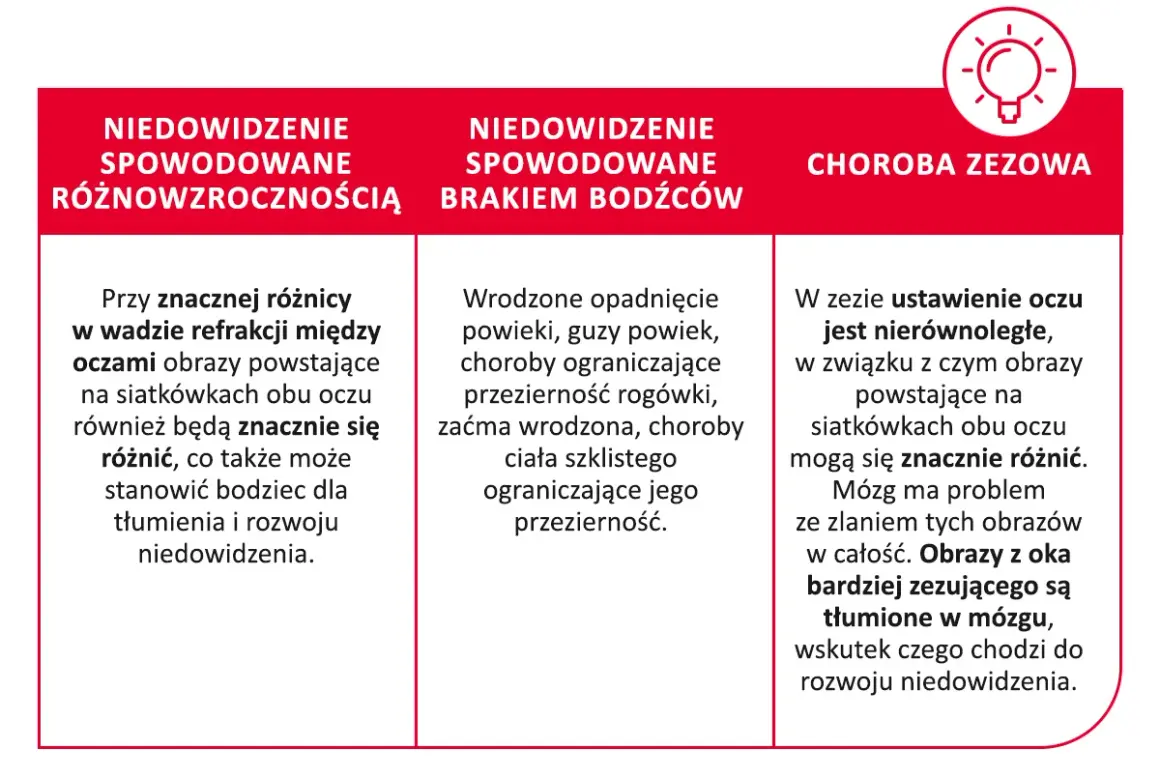 Obraz wyjaśnia przyczyny niedowidzenia: różnice w wadzie refrakcji, brak bodźców wzrokowych i zez. Brak widzenia stereoskopowego może prowadzić do rozwoju niedowidzenia.