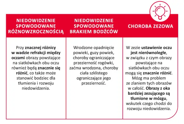 Obraz wyjaśnia przyczyny niedowidzenia: różnice w wadzie refrakcji, brak bodźców wzrokowych i zez. Brak widzenia stereoskopowego może prowadzić do rozwoju niedowidzenia.